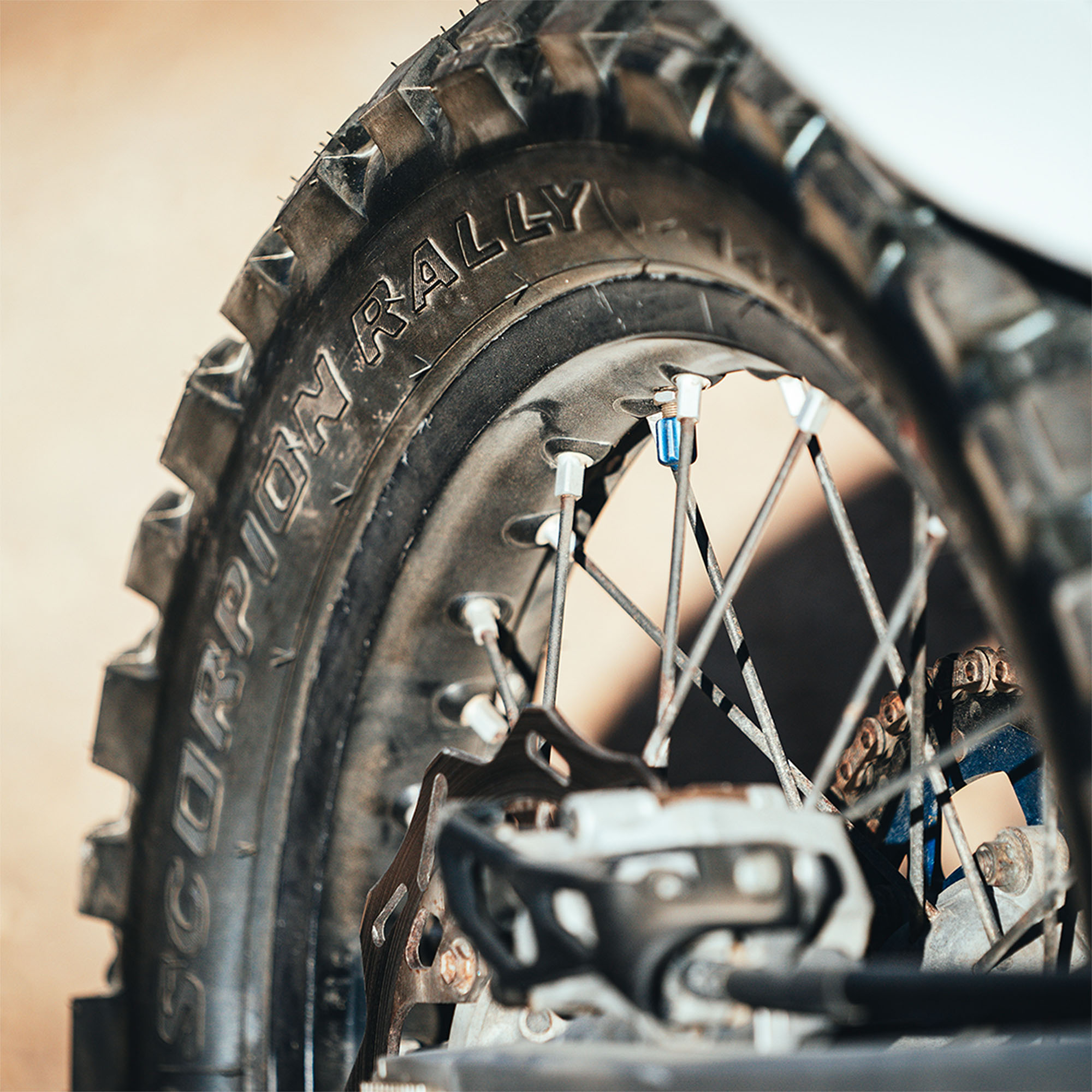 Llanta 150/60R17 SCORP RALLY STR TL 66H PIRELLI - Imagen 7